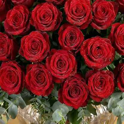 100 Red Roses