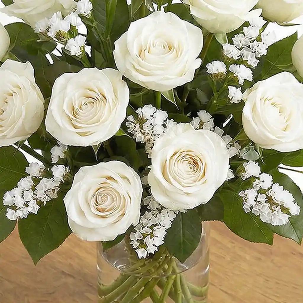 12 White Roses
