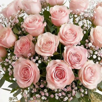 24 Pink Roses