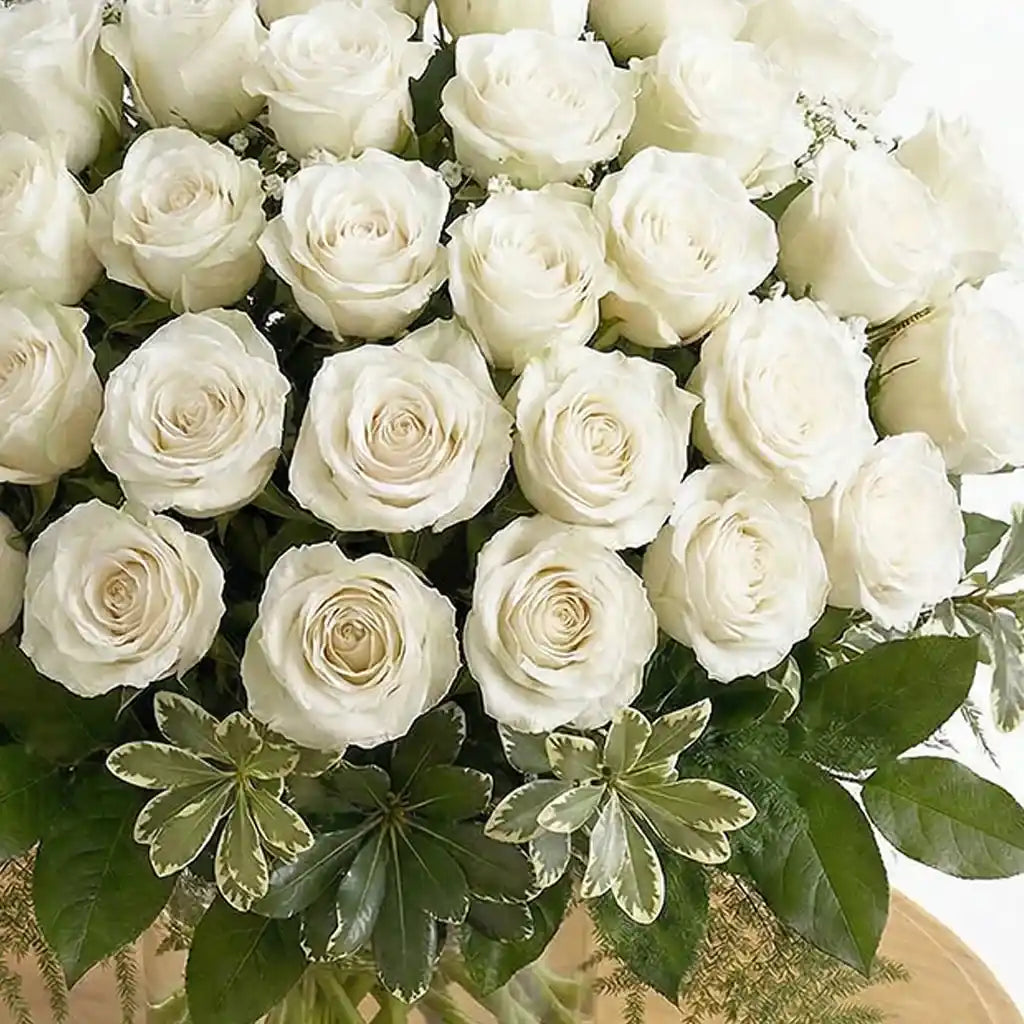 50 White Roses