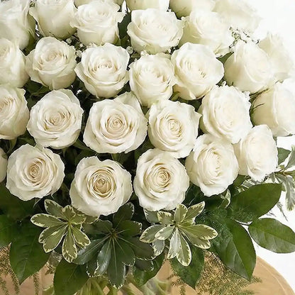 50 White Roses