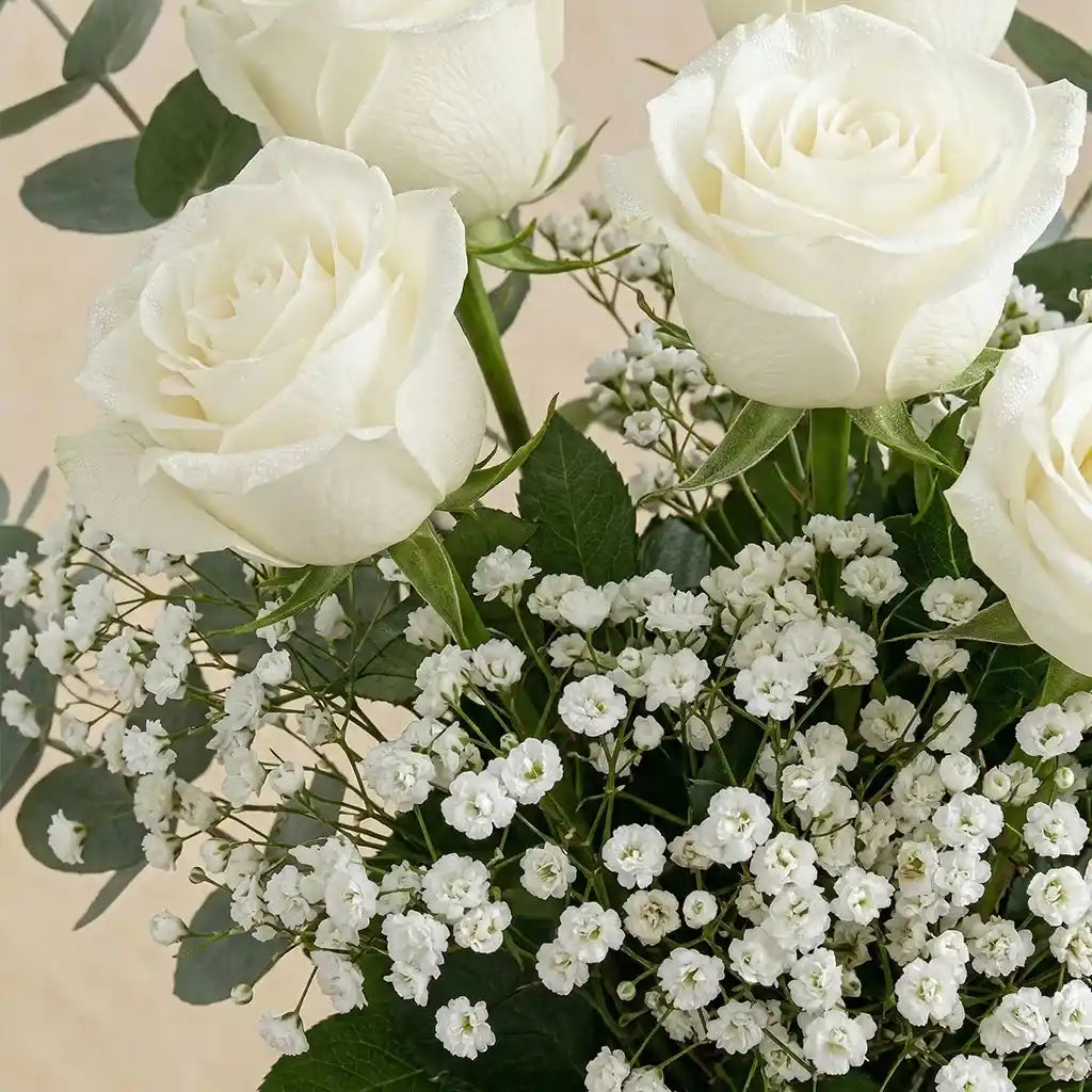 6 White Roses