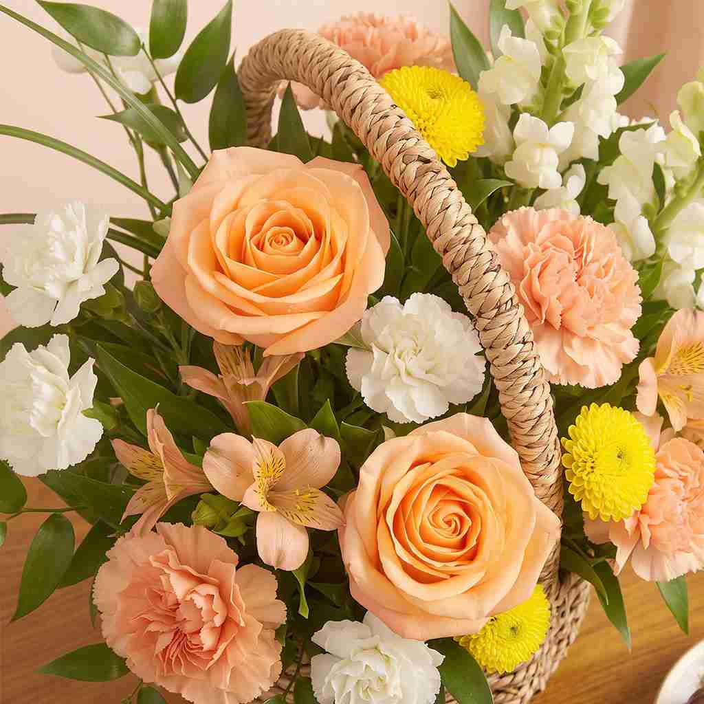 Apricot Basket
