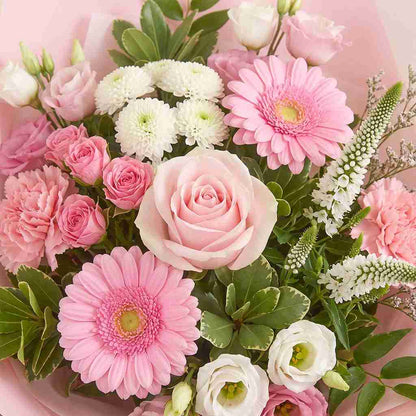 Blush Giftbox