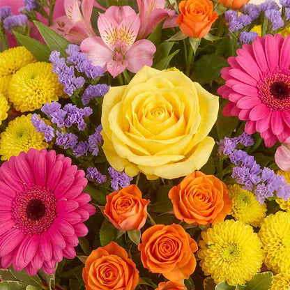 Bright Wishes Giftbox