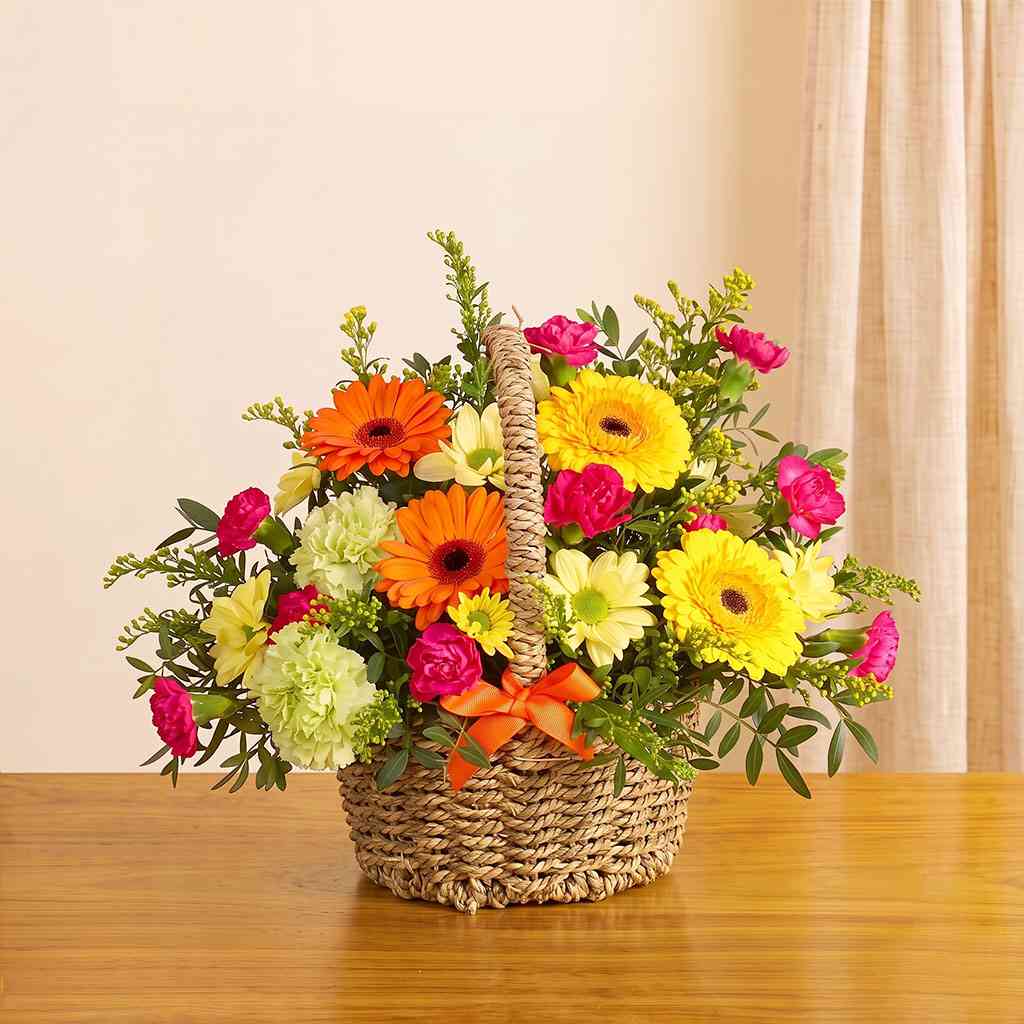 Citrus Basket