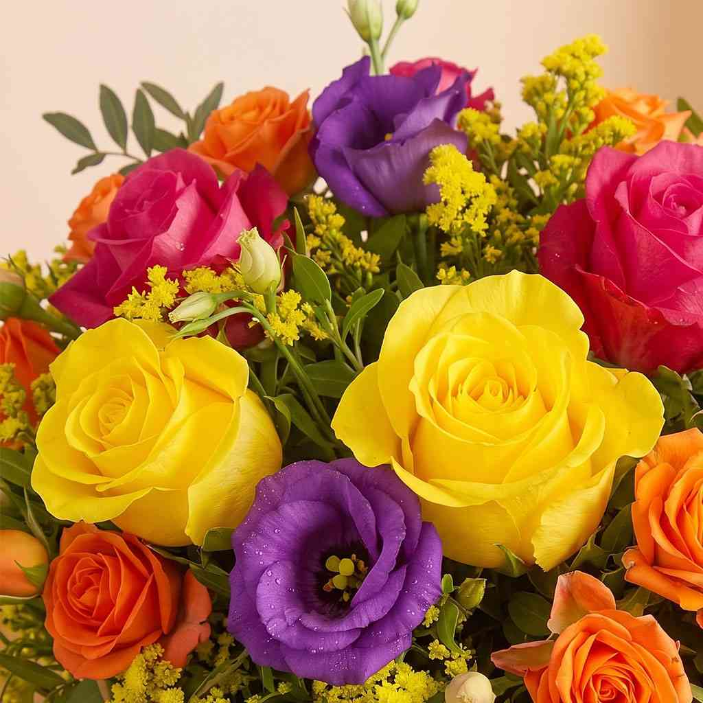 Colour Celebration
