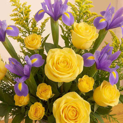Golden Iris