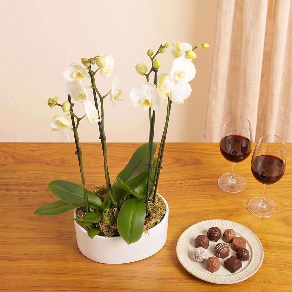 Ivory Orchid Planter