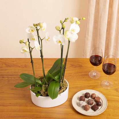 Ivory Orchid Planter