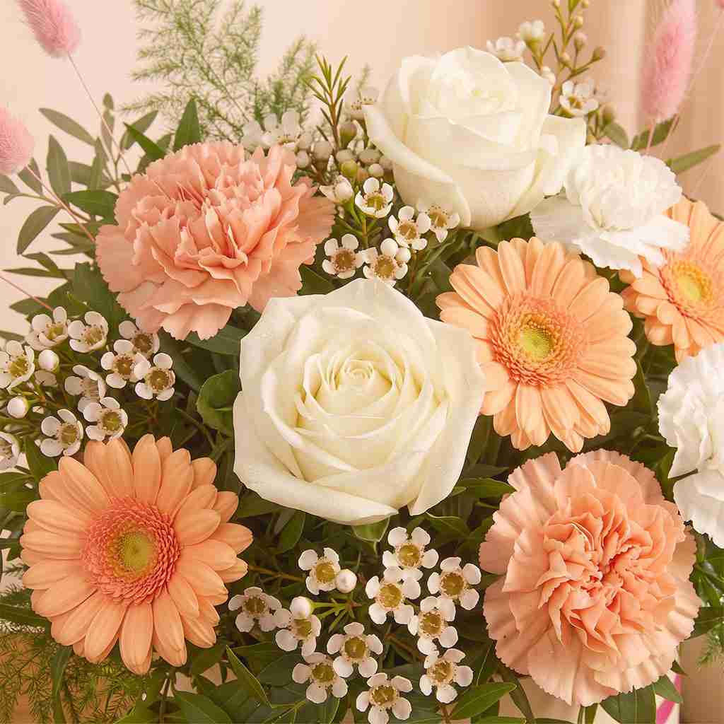 Peach Serenity