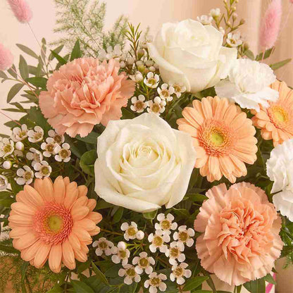 Peach Serenity