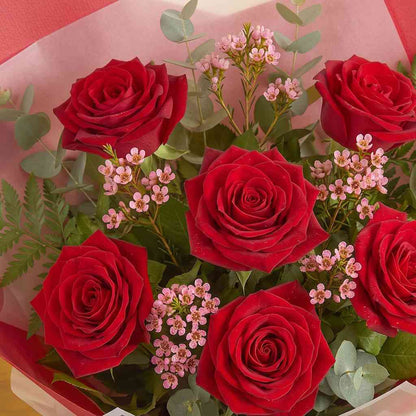 Scarlet Giftbox
