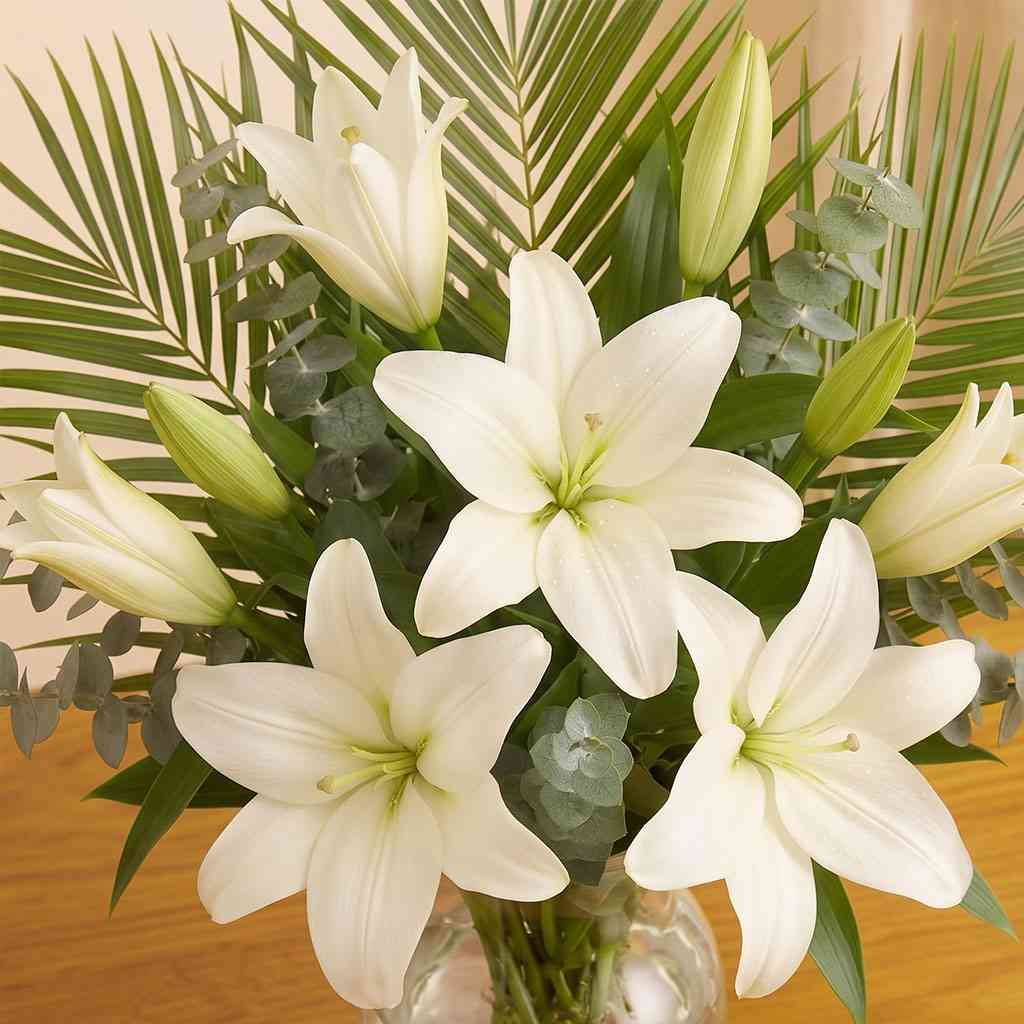 White Lily