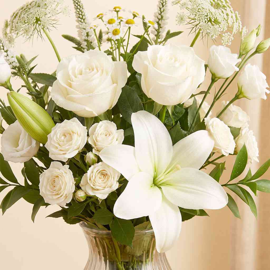 White Serenity
